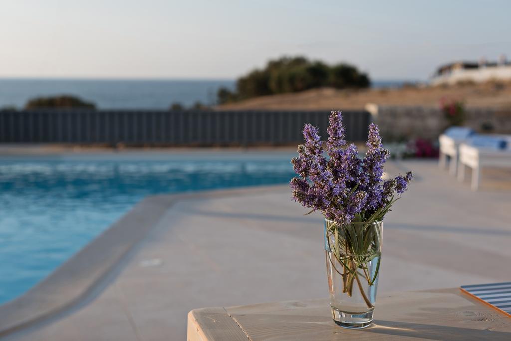 Lygaries Villas Pánormos 部屋 写真