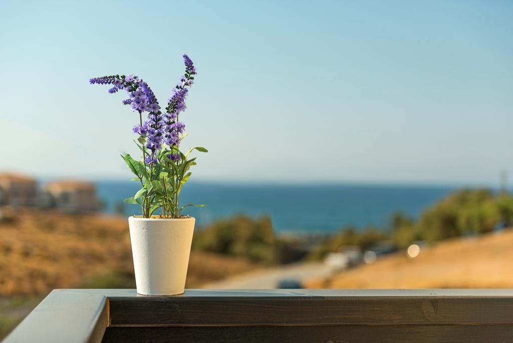 Lygaries Villas Pánormos 部屋 写真